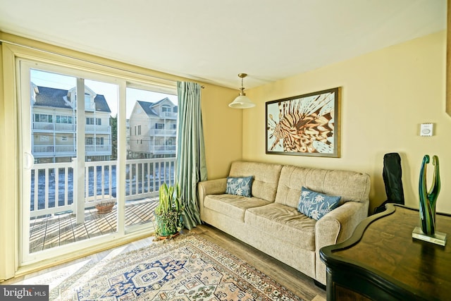 living room with hardwood / wood-style flooring