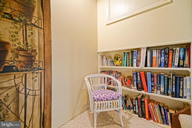 living area featuring carpet flooring