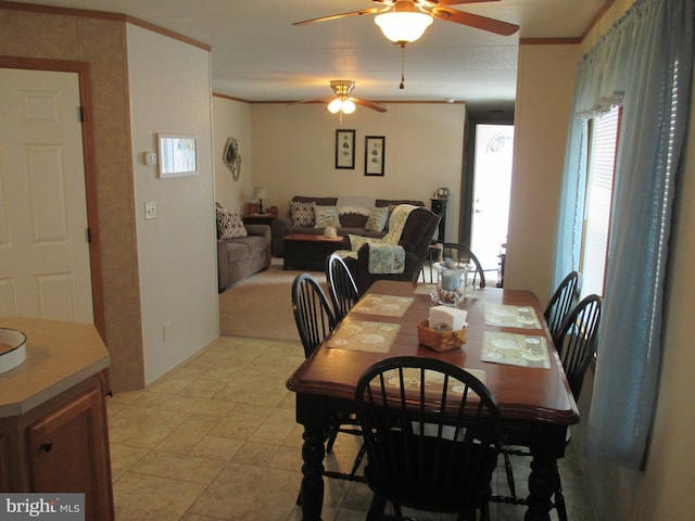 dining space with ceiling fan and ornamental molding