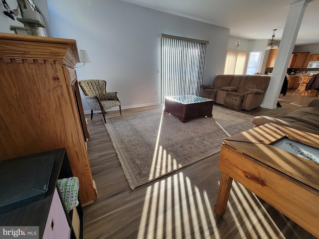 living room with dark hardwood / wood-style flooring