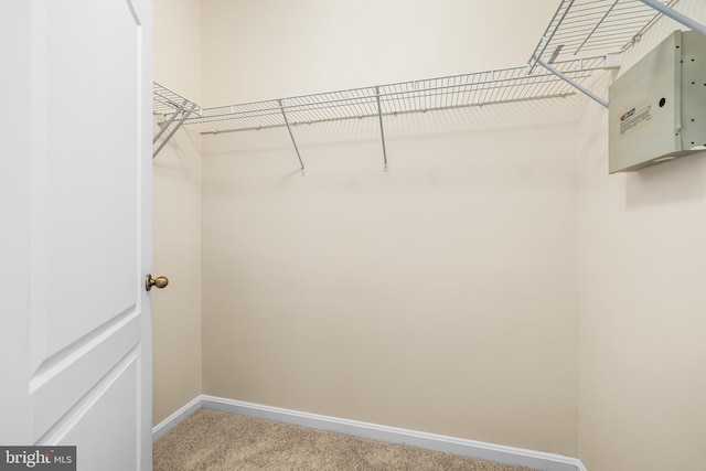 spacious closet with carpet floors