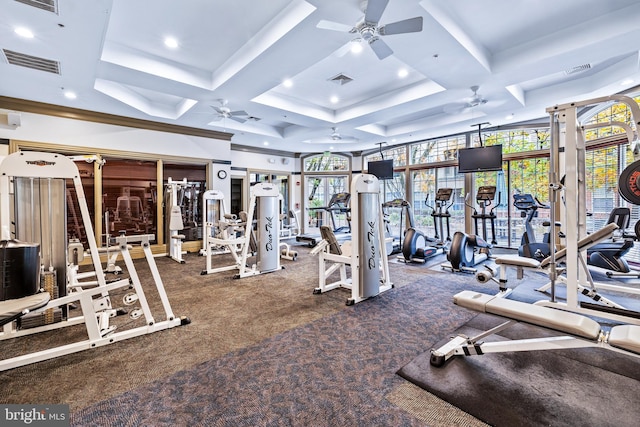 workout area featuring ceiling fan, coffered ceiling, a wall of windows, and carpet