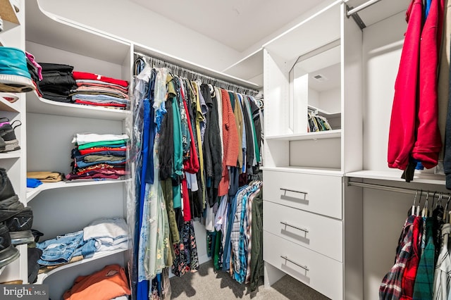 spacious closet with carpet floors