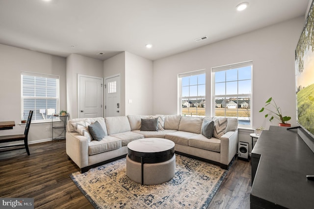 living room featuring dark wood-type flooring