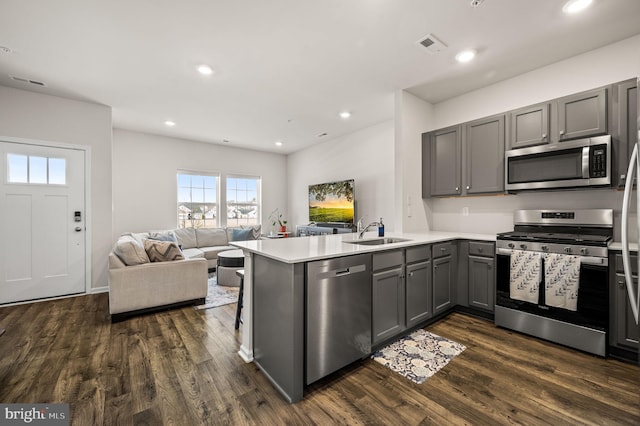 kitchen featuring dark hardwood / wood-style floors, appliances with stainless steel finishes, kitchen peninsula, and sink