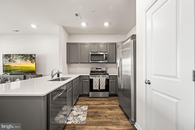 kitchen featuring appliances with stainless steel finishes, sink, kitchen peninsula, and gray cabinets