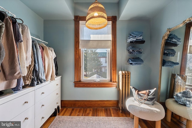 walk in closet featuring radiator and light hardwood / wood-style flooring