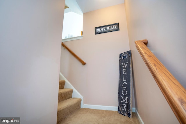 staircase with carpet floors