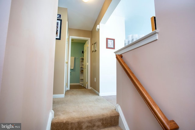 stairway with carpet flooring