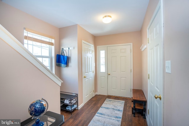 entrance foyer featuring dark hardwood / wood-style flooring