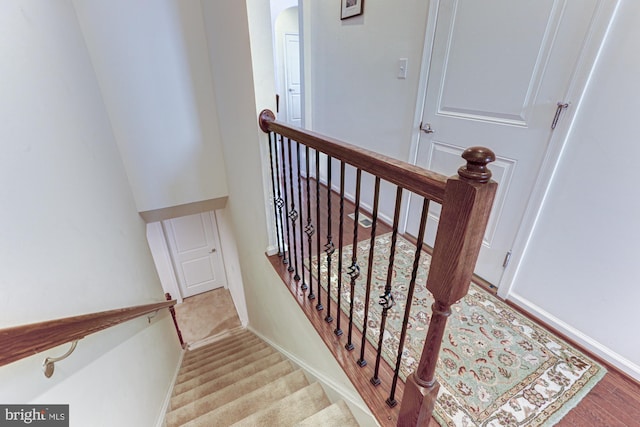 staircase featuring wood-type flooring