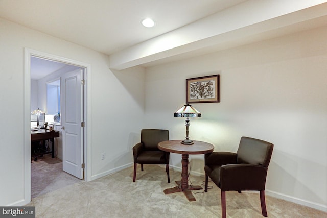 living area featuring light colored carpet