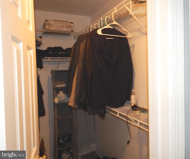 view of walk in closet