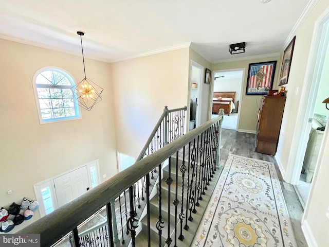 hallway with crown molding, wood-type flooring, and a notable chandelier