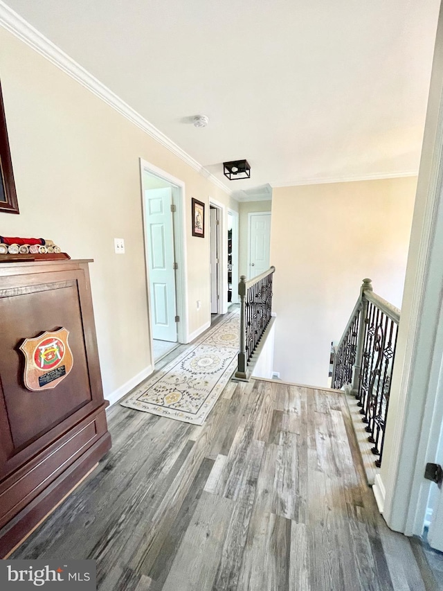 corridor with wood-type flooring and ornamental molding