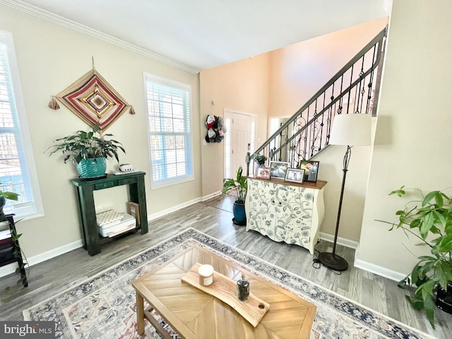 foyer entrance with crown molding and hardwood / wood-style floors