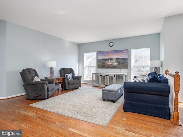 living room with plenty of natural light and hardwood / wood-style floors