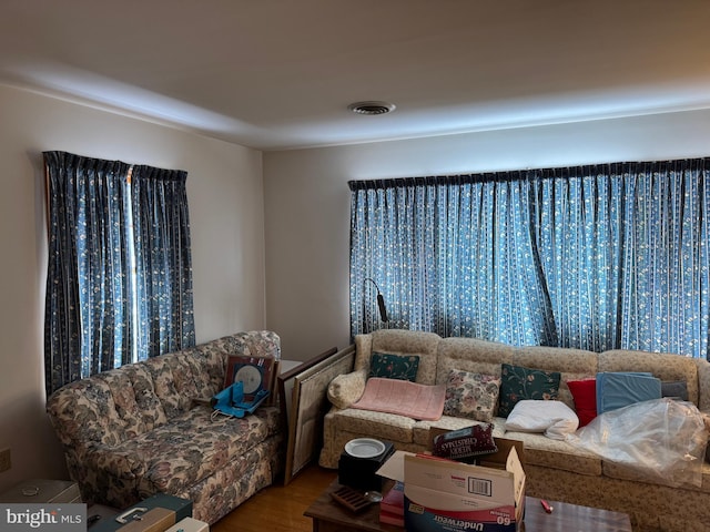 living room featuring hardwood / wood-style floors