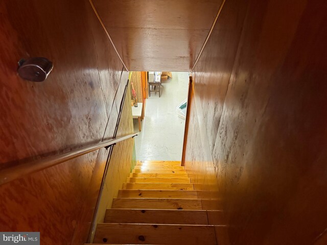 stairway with hardwood / wood-style floors