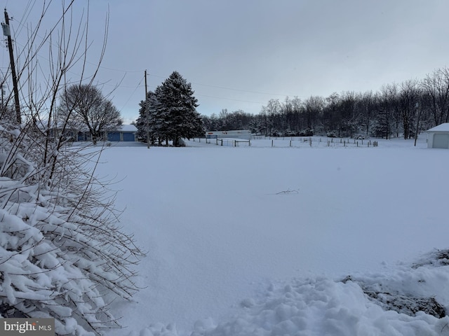 view of snowy yard