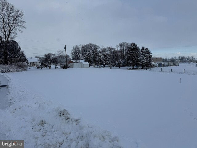 view of snowy yard