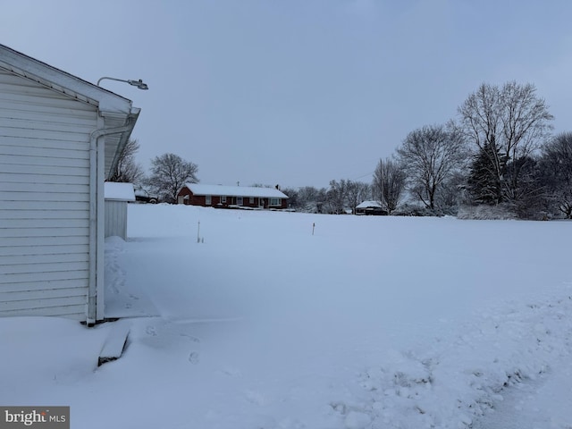 view of yard covered in snow