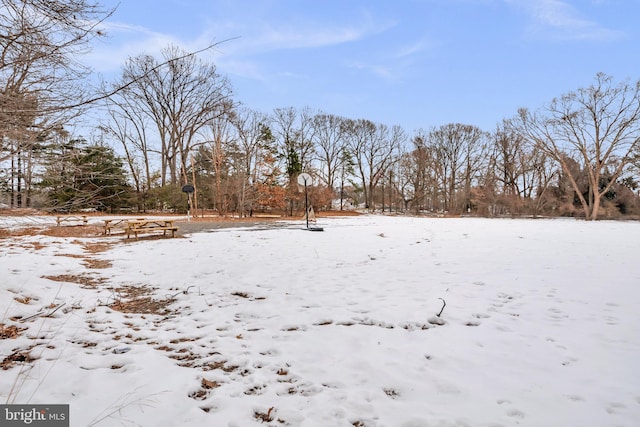 view of yard covered in snow