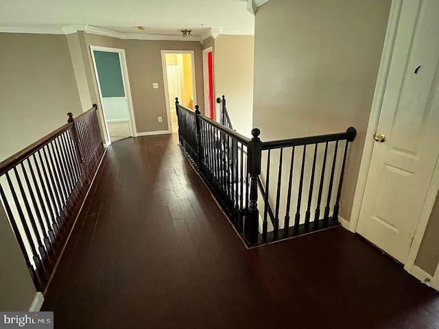 hallway with ornamental molding and dark hardwood / wood-style floors