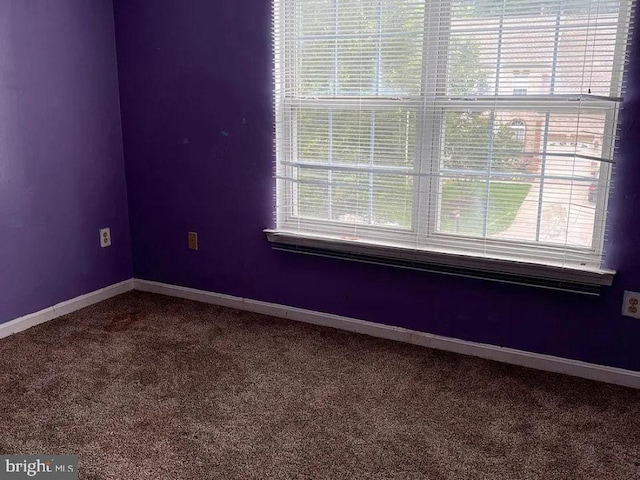 empty room with a wealth of natural light and carpet flooring