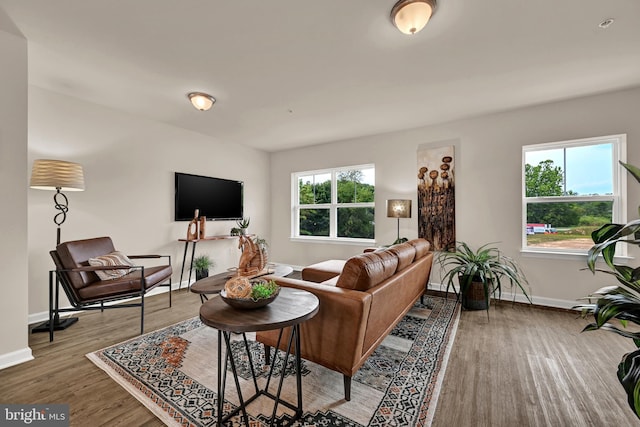 living room with hardwood / wood-style flooring and plenty of natural light