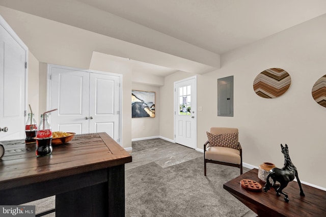 interior space featuring carpet flooring and electric panel