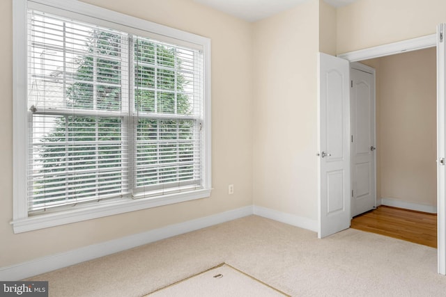 interior space with carpet floors