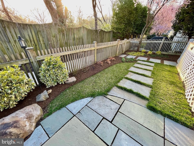 view of yard with a patio