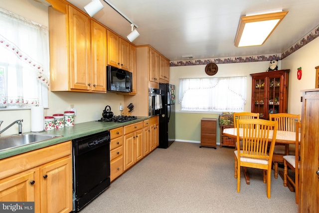 kitchen featuring sink, light colored carpet, and black appliances