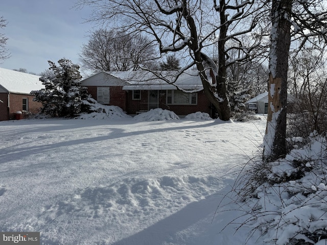 view of yard layered in snow