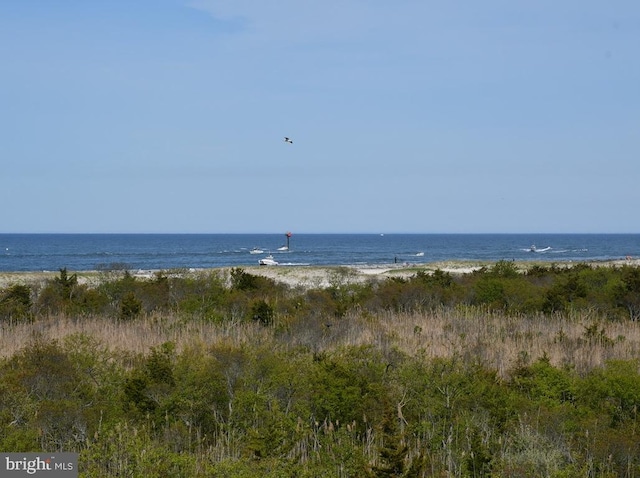 property view of water with a beach view