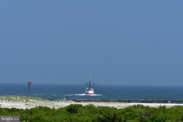 property view of water