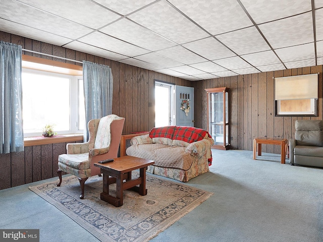 living room featuring carpet and wooden walls