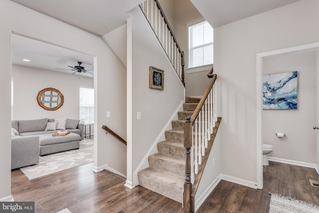 stairway with ceiling fan, a wealth of natural light, and hardwood / wood-style flooring