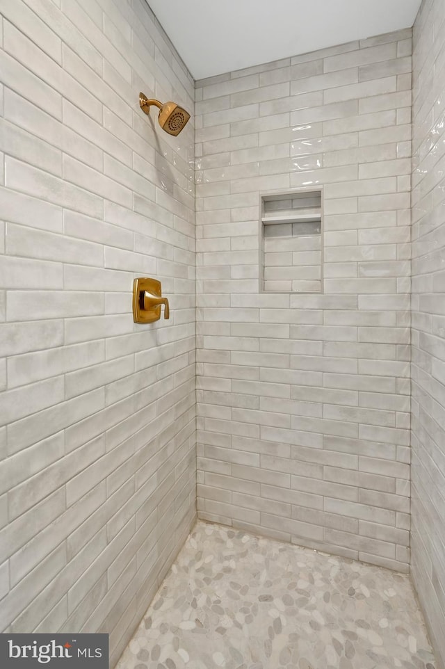 118 Holly Hill Ct, Fruitland, MD 21826 - full bathroom with a tile shower