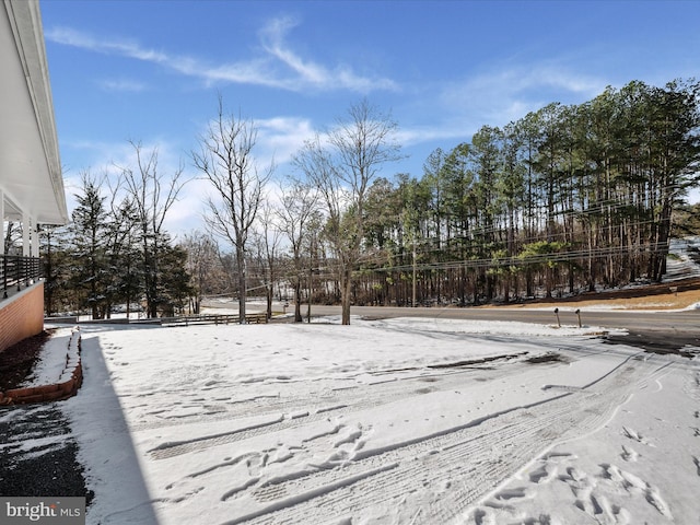 view of yard layered in snow