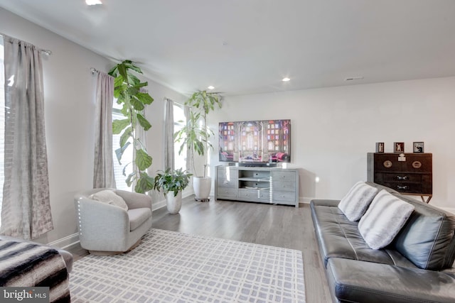 living room featuring wood-type flooring