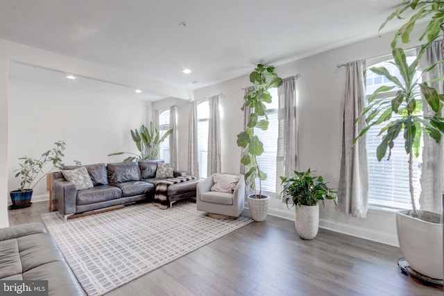 living room with hardwood / wood-style floors