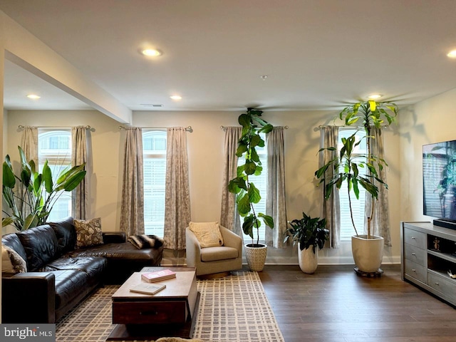 sitting room with dark hardwood / wood-style flooring and a wealth of natural light