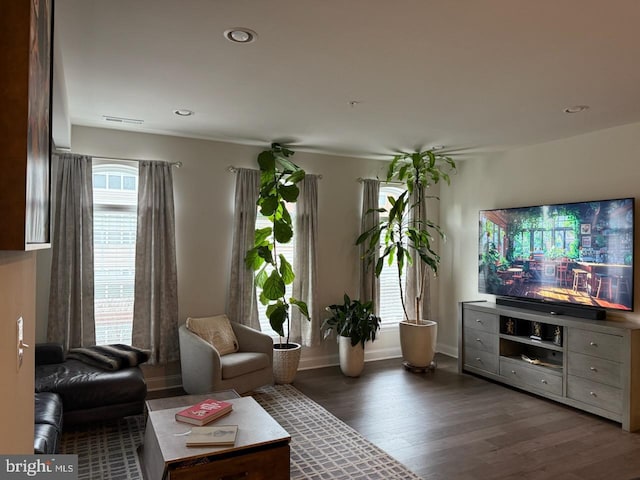 living area with dark wood-type flooring