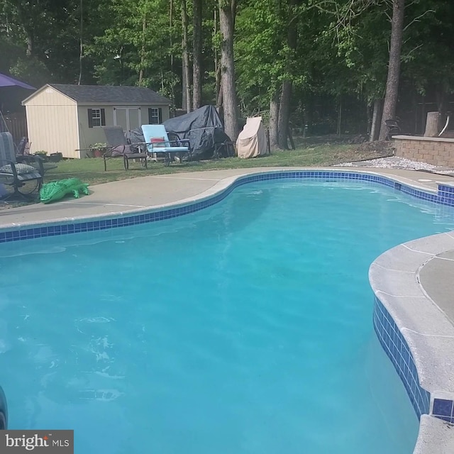 view of swimming pool with a storage unit