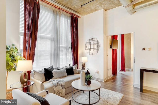 living room featuring light hardwood / wood-style floors and plenty of natural light