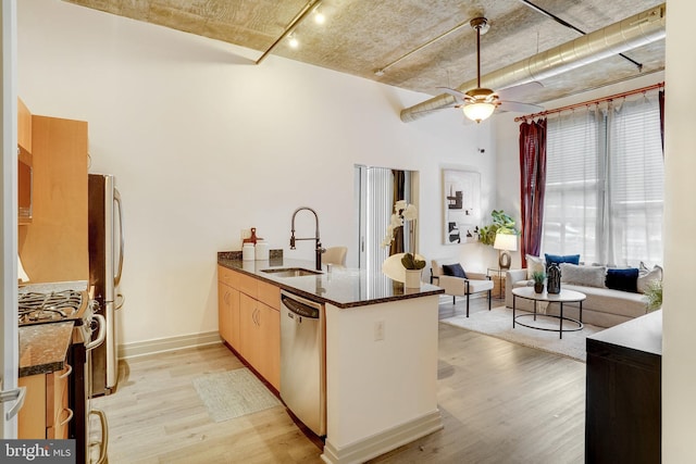 kitchen with sink, appliances with stainless steel finishes, light hardwood / wood-style flooring, and kitchen peninsula