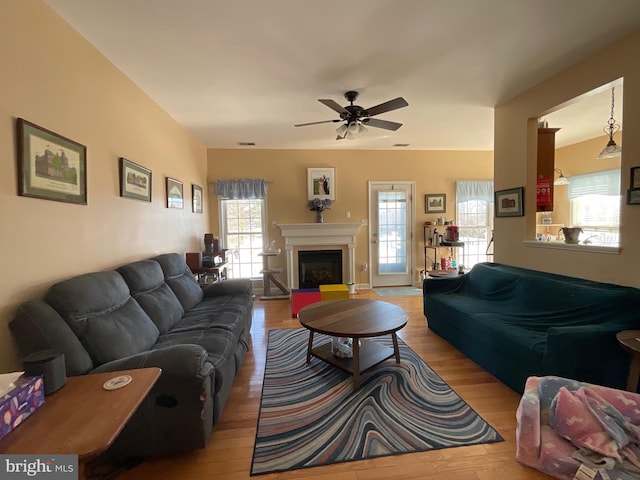 living room featuring ceiling fan and light wood-type flooring