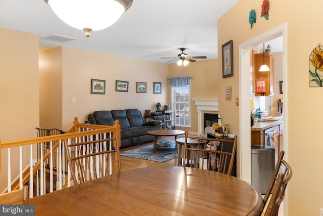 dining room with wood-type flooring, sink, and ceiling fan